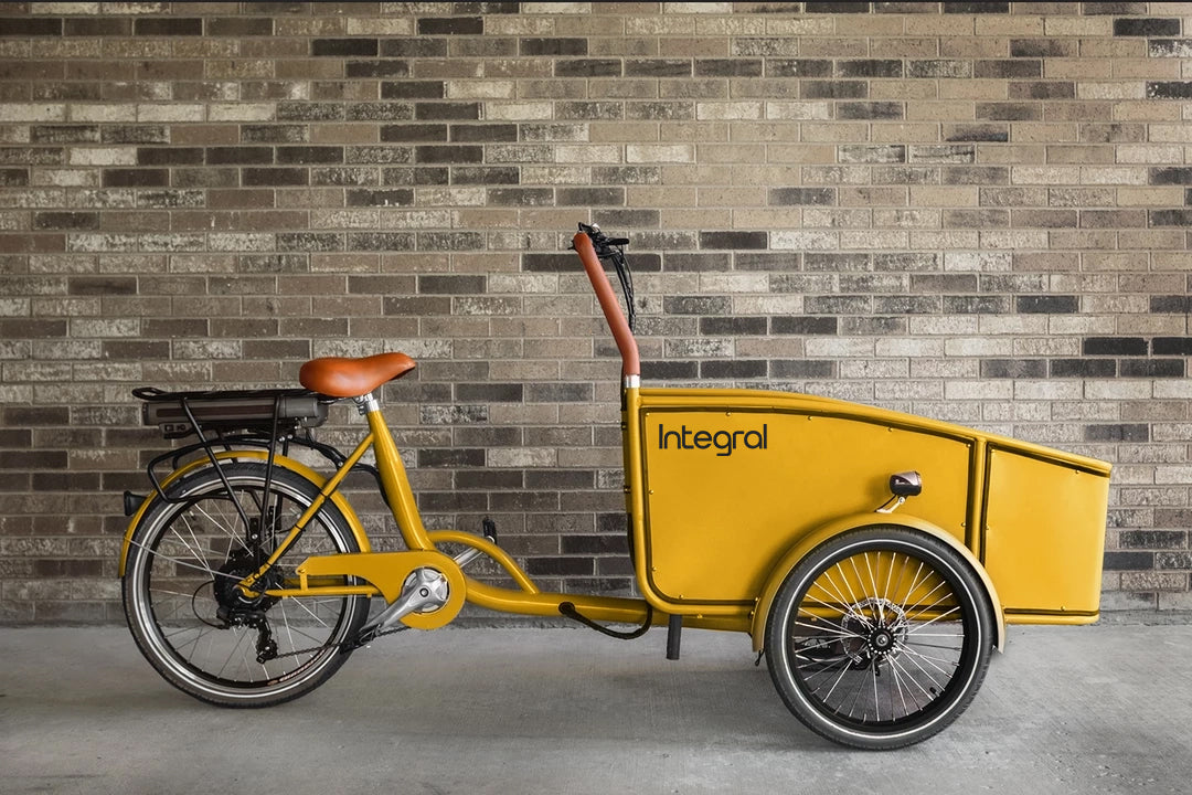 Integral Electrics Electric Cargo Bike Roam Cargo E Bike Best Cargo E Trike Bike to Carry Kids Dogs or Adults Bakfiets Front Cargo