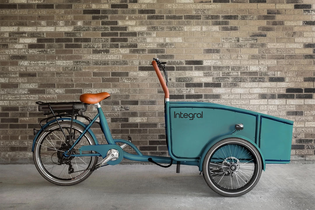 Open Box Roam Cargo E-Bike