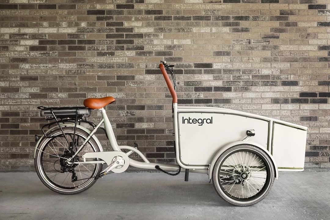 Roam Cargo E-Bike