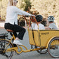 Roam Cargo E-Bike